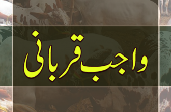 Jaan Qurban (جان قربان)