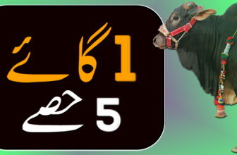 Qurbani (قربانی 5 حصے)