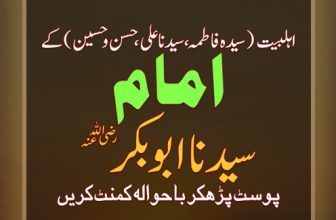 خلیفہ سیدنا ابوبکر رضی اللہ عنہ