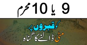 Home 13 مٹی پاؤ