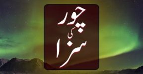 Home 15 چو ر کی سزا
