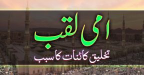 Home 17 کیا حضور ﷺ پڑھے لکھے تھے؟