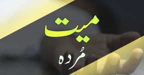 Home 13 مُردے سے سلوک