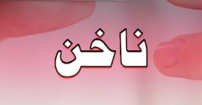 Home 11 ناخن اور عقل کے ناخن