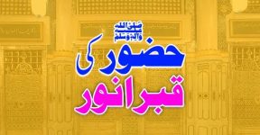 Home 17 حضورﷺ کی قبر انور