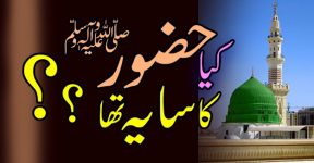 Home 11 سایہ