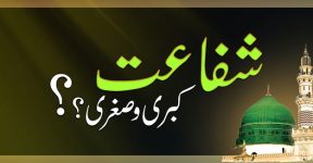 Home 8 شفاعت کبری و صغری