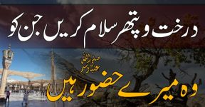 Home 13 درختوں اور پتھروں کا حضور ﷺ سے پیار