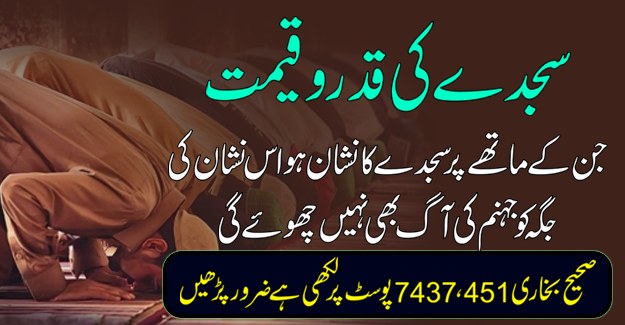 سجدے کی قدر و قیمت 1 490776809 679783411228228 7340168190617048094 n