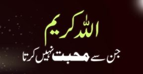 Home 15 اللہ کریم کن سے محبت نہیں کرتا