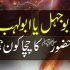 Behas Baray Behas (بحث برائے بحث)