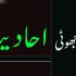 Khush Naseeb (خوش نصیب رضاعی ماں)