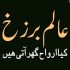 Muashi Door (معاشی دوڑ)