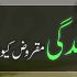 Dua e Noor(دعائے نور)