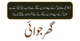 گھر جوائی
