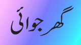 Ghar Jawai (گھر جوائی)