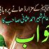 سرکار کالنگر (کھانا)