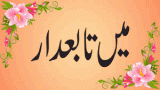 میں تابعدار، میں نوکر، سائیں